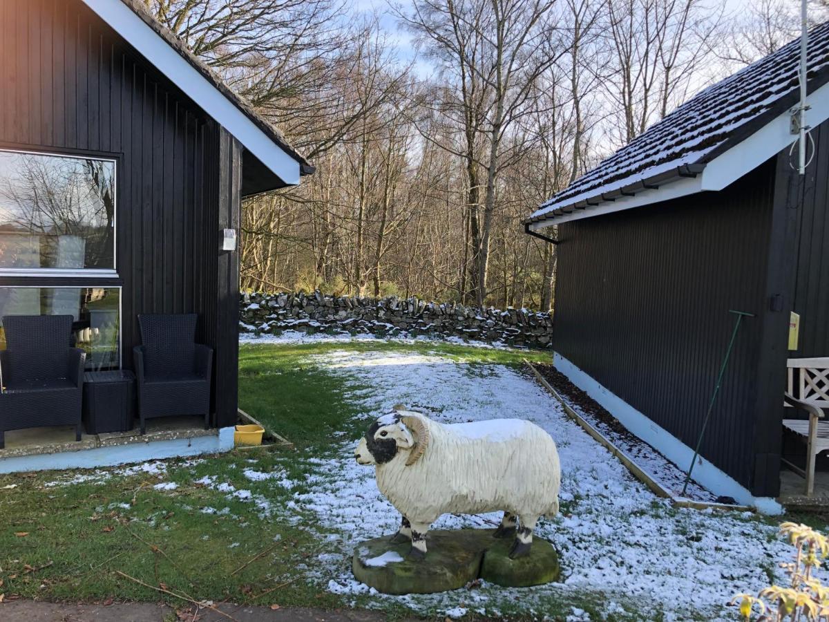 Kilcoy Chalets Muir of Ord Exterior foto