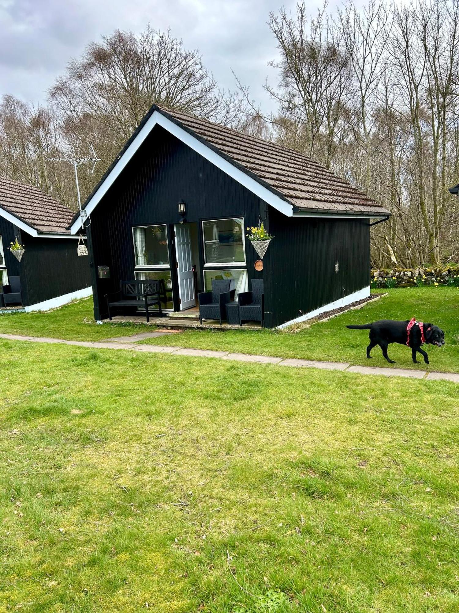 Kilcoy Chalets Muir of Ord Exterior foto